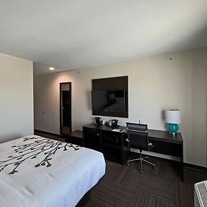 King Room Disability Access